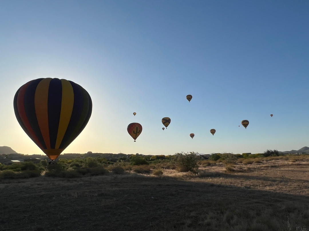 Apex Balloons景点图片