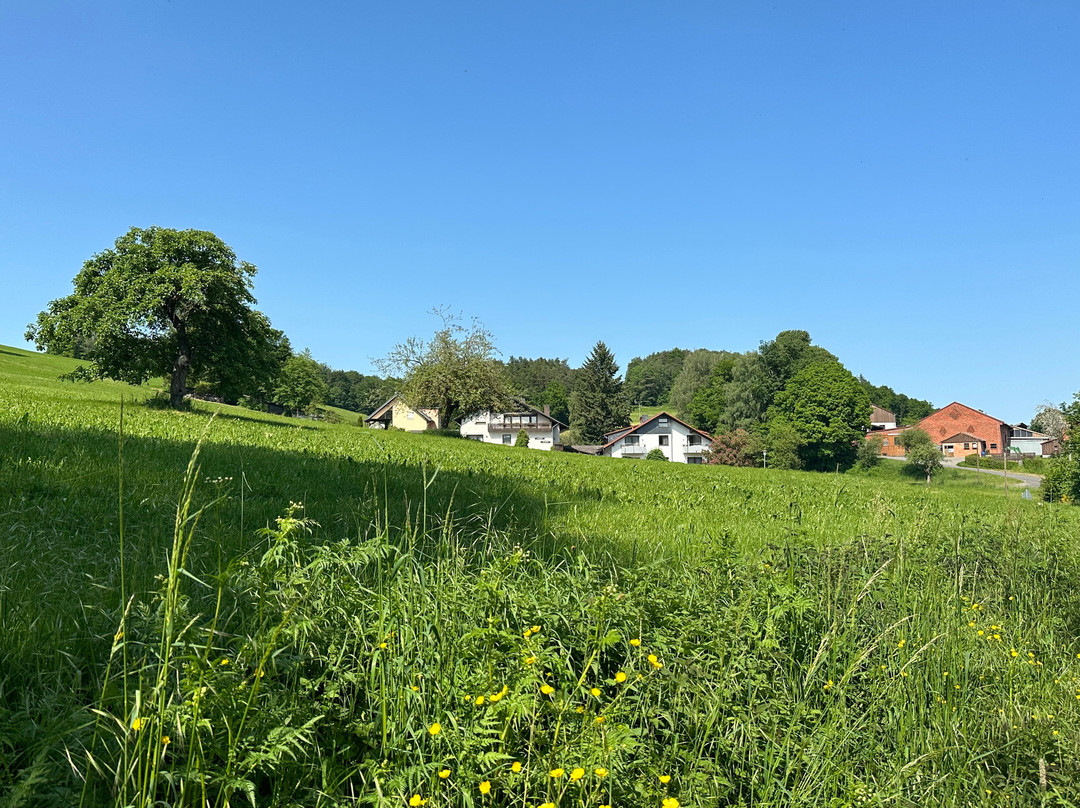 Ebersburg酒店住宿-Rhönhotel Alte Mühle