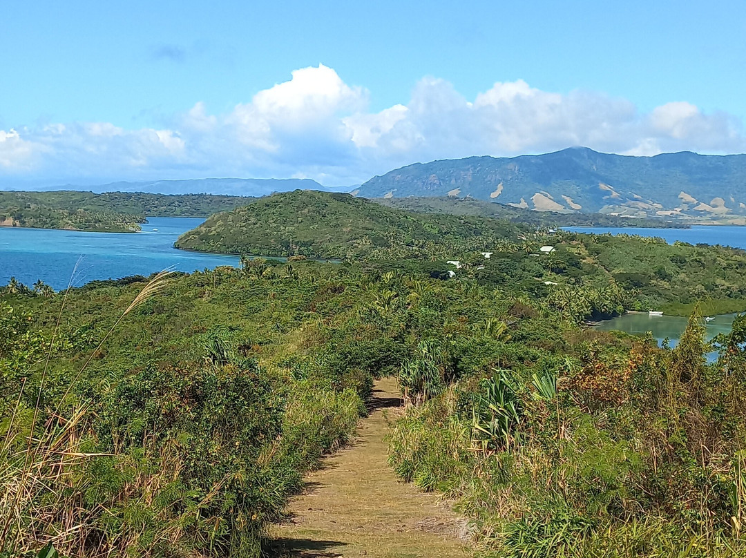 Safari Island Lodge主图