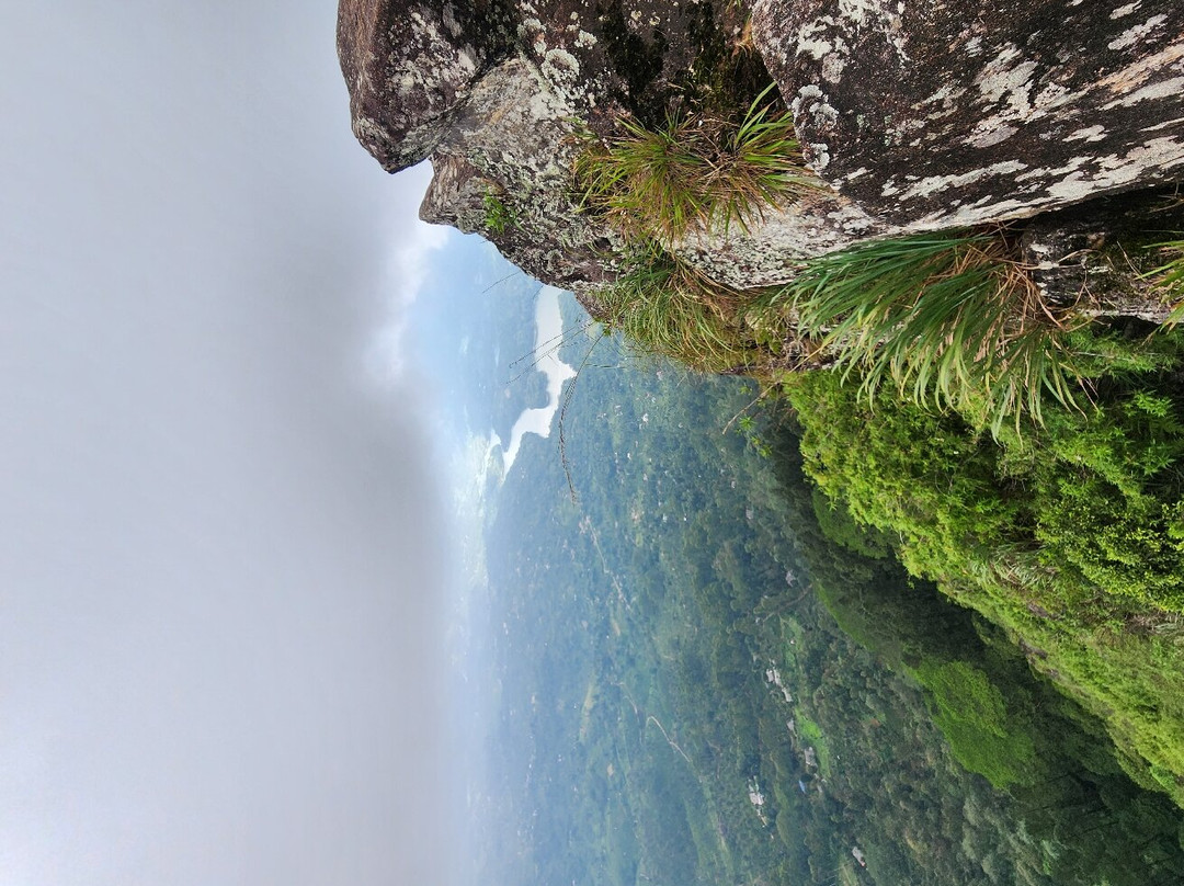 Peacock Hill景点图片