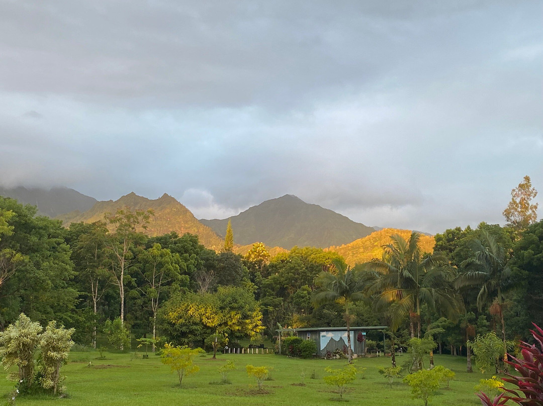 Kauai Koa Farm景点图片