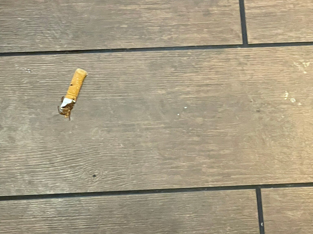 SpringHill Suites by Marriott Tuscaloosa主图