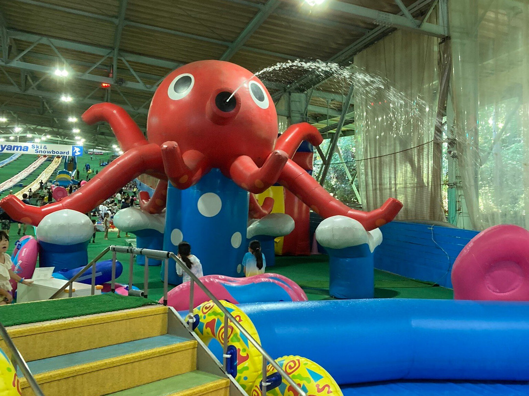 Sayama Ski & Snowboard-所泽市必去景点