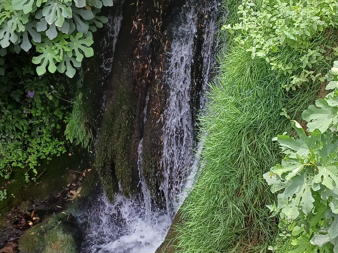 Hotel Sierra de Cazorla & SPA 3主图