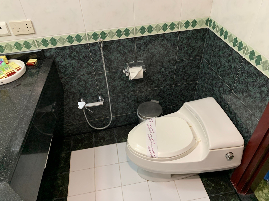 Tabriz El-Goli Pars Hotel主图