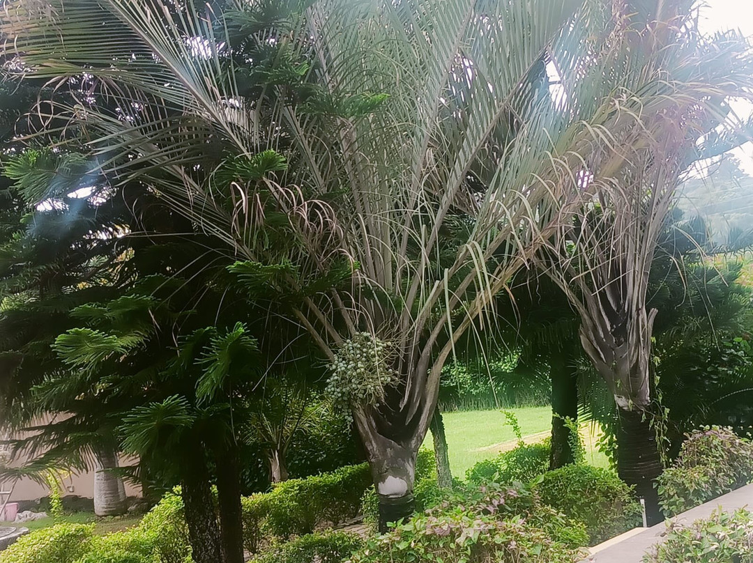 Sailani Resort主图