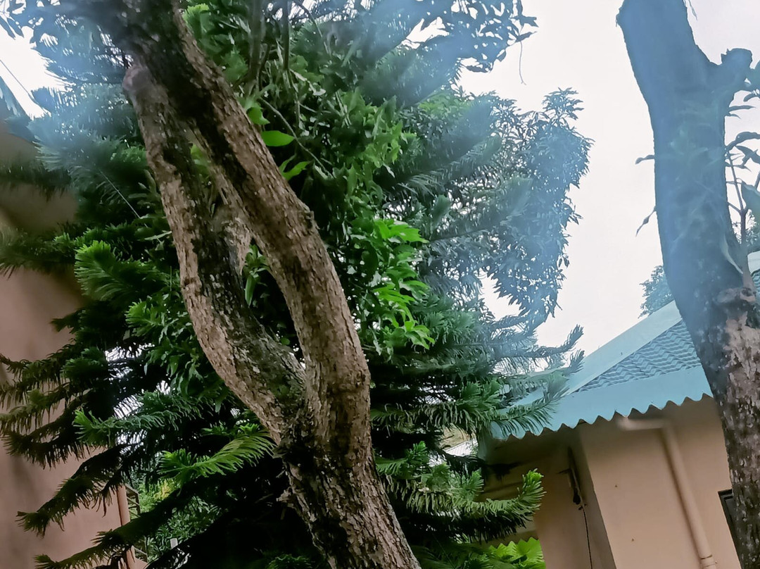 Sailani Resort主图