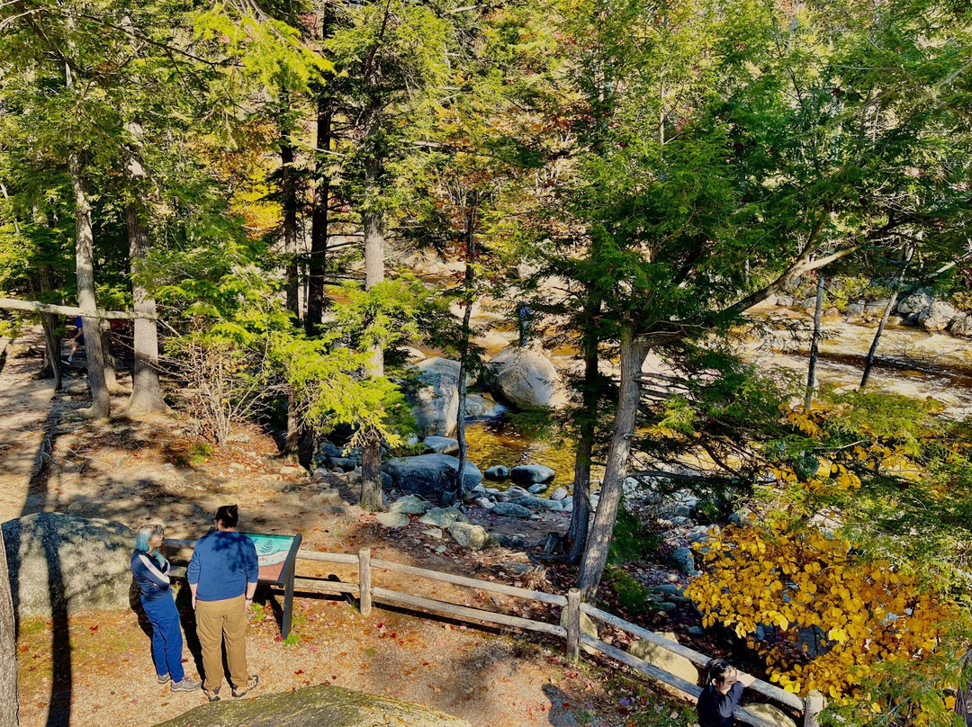 Lower Falls-Albany必去景点