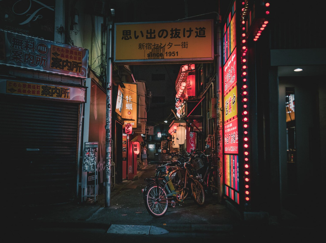 Shinjuku Kabukicho Noren Street-Kabukicho必去景点
