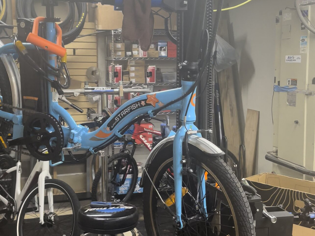 Inverness Bicycle & Fitness-因弗内斯必去景点