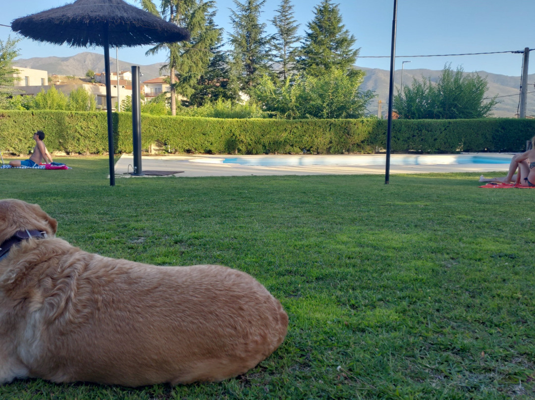 El Linar del Zaire主图