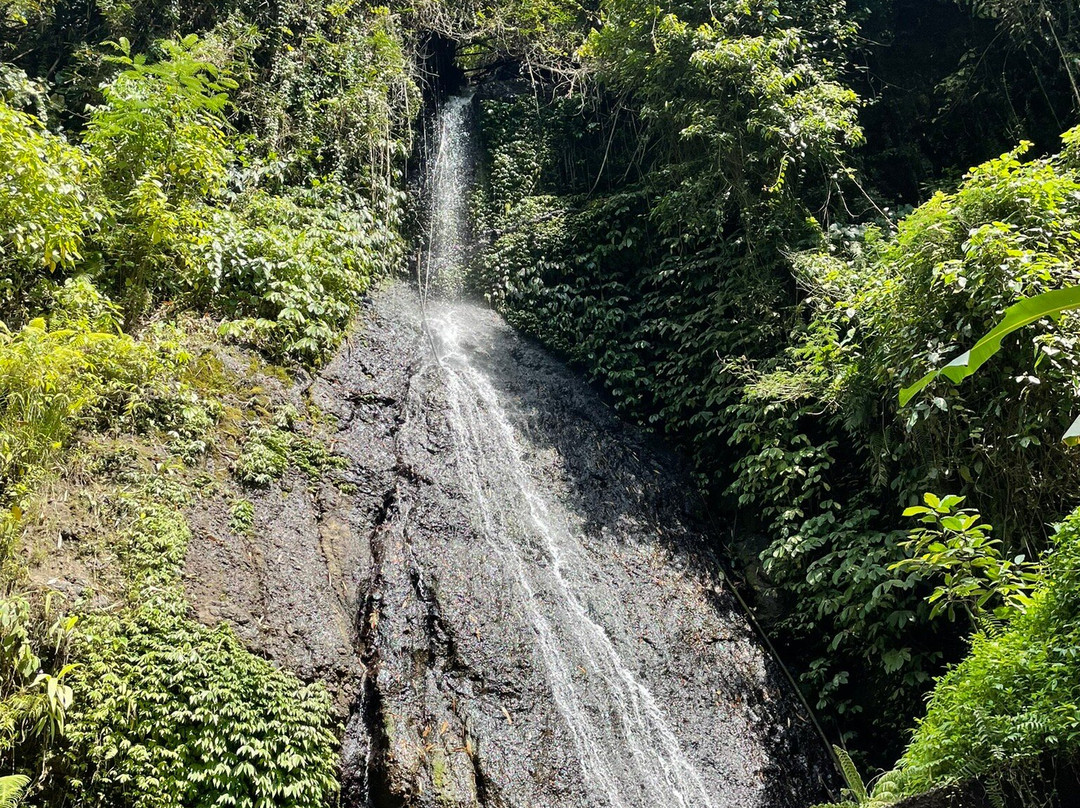 Bukit Cilli Rafting (BCR)景点图片