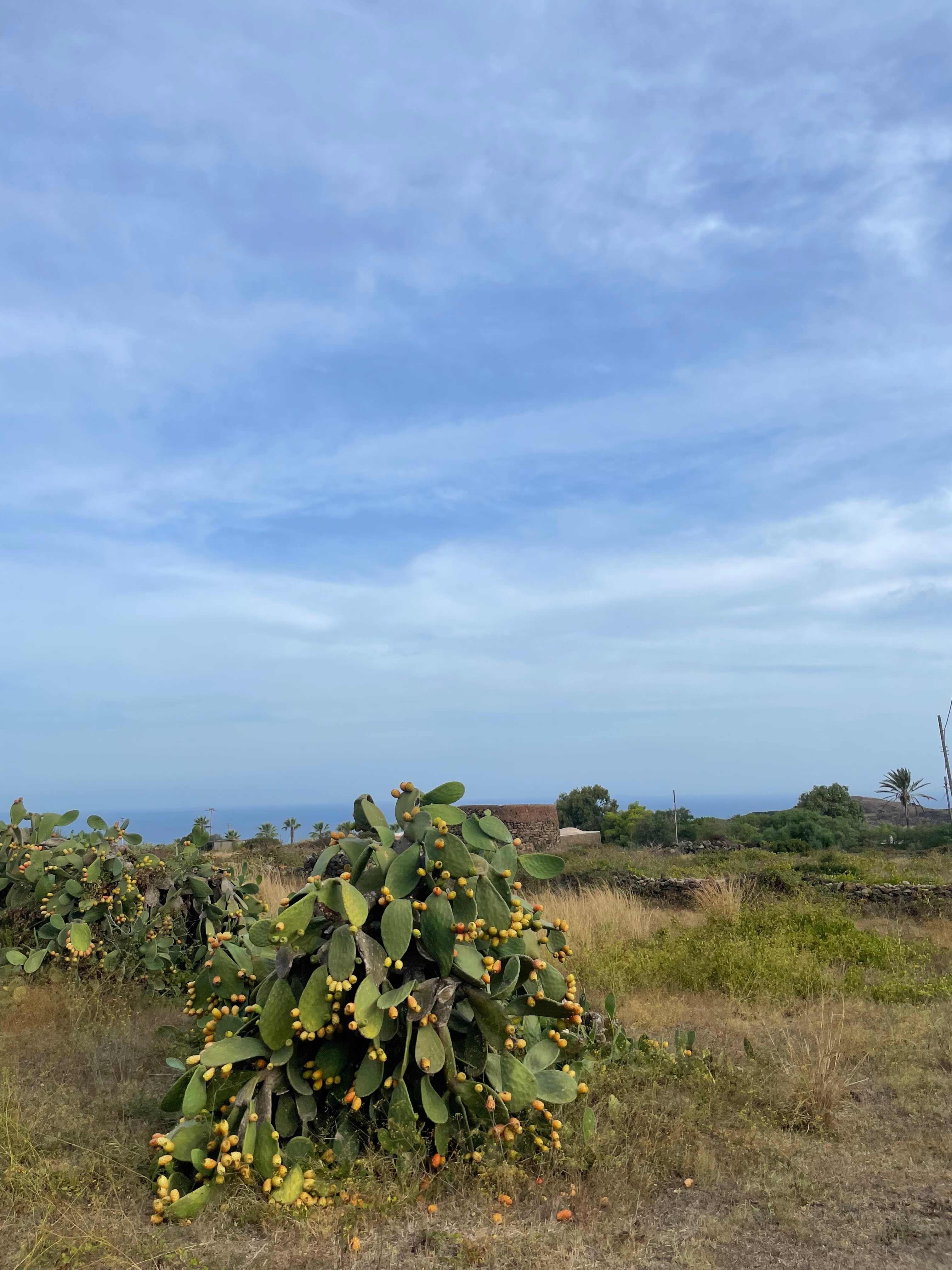 Zubebi Resort-浴室