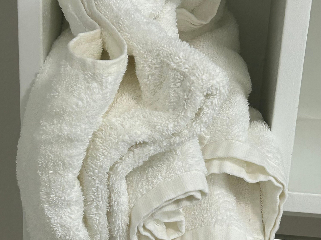 Holiday Inn Express & Suites Laurel By IHG主图