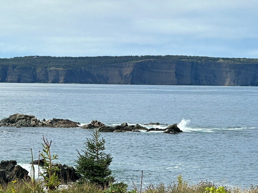 Just Landed Tours-圣约翰必去景点