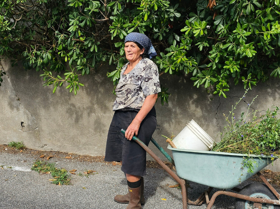 Buyourtour-索伦托必去景点