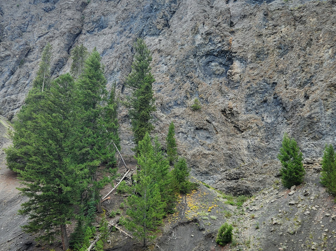 火洞峡谷车道-黄石国家公园必去景点