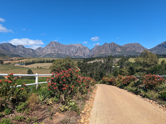 The Wine Specialists-斯泰伦博斯必去景点