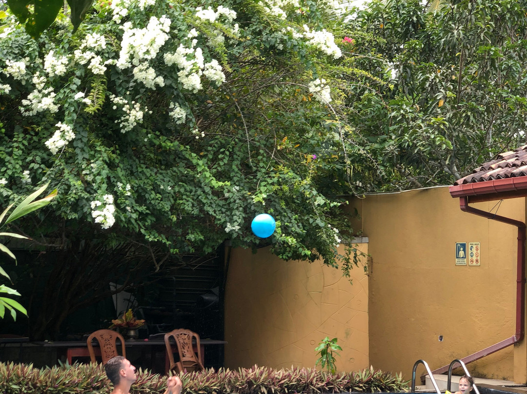 Royal Lotus Villa主图