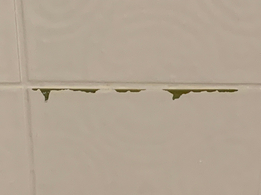 伍尔夫酒店主图