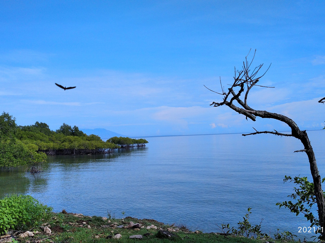 Menjangan West Bali Tour景点图片