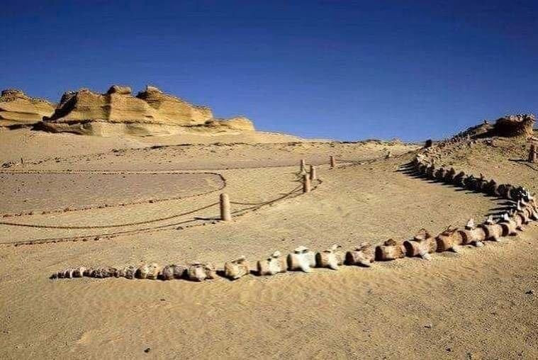 Western Desert Travel-Bahariya Oasis必去景点