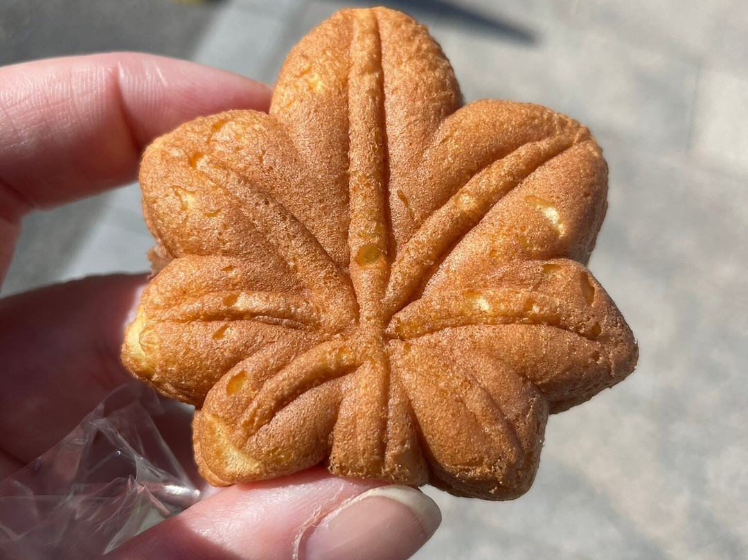 Hiroshima custom tour by certified guide Pancho (in English)-Itsukushima必去景点