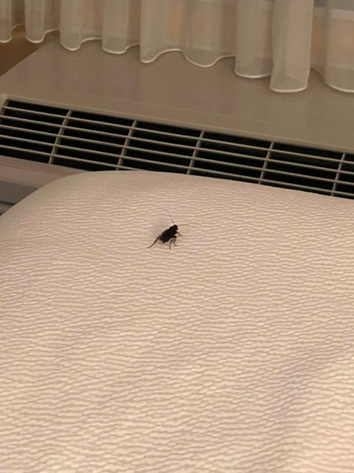 Courtyard Atlanta Lithia Springs主图