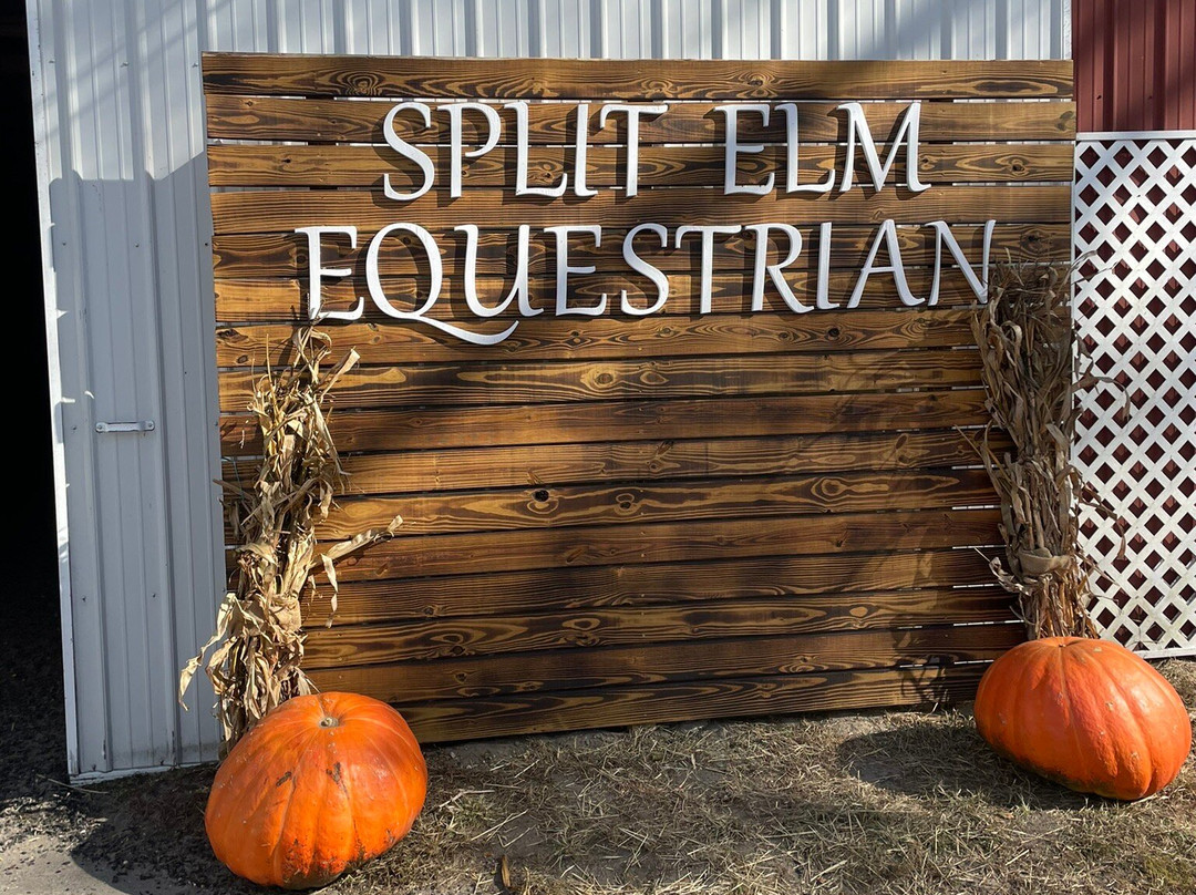 Split Elm Equestrian景点图片