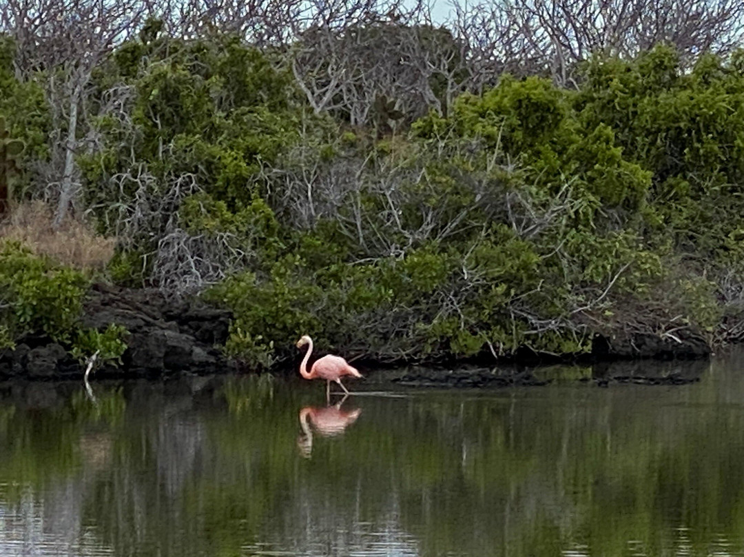 GALAPAGOS ECUADOORS-圣克鲁斯必去景点