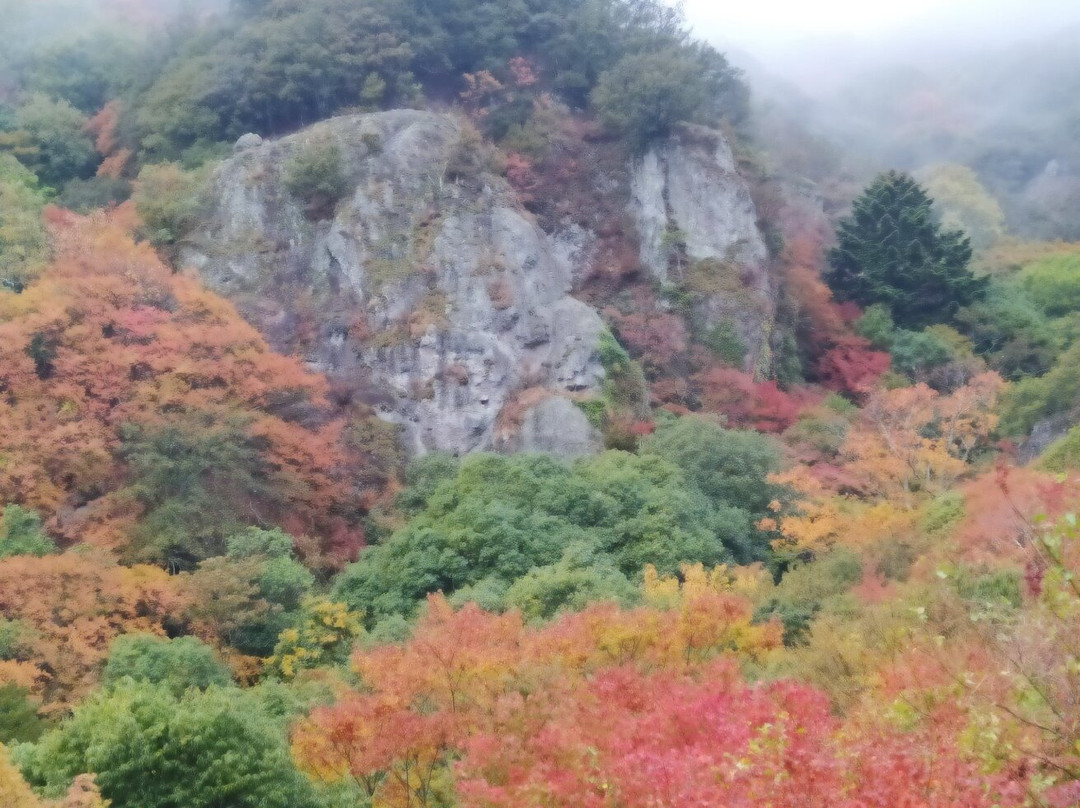 Kankakei Ropeway景点图片