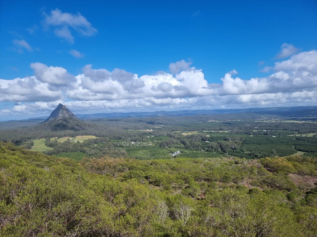 Glass House Mountains National Park景点图片