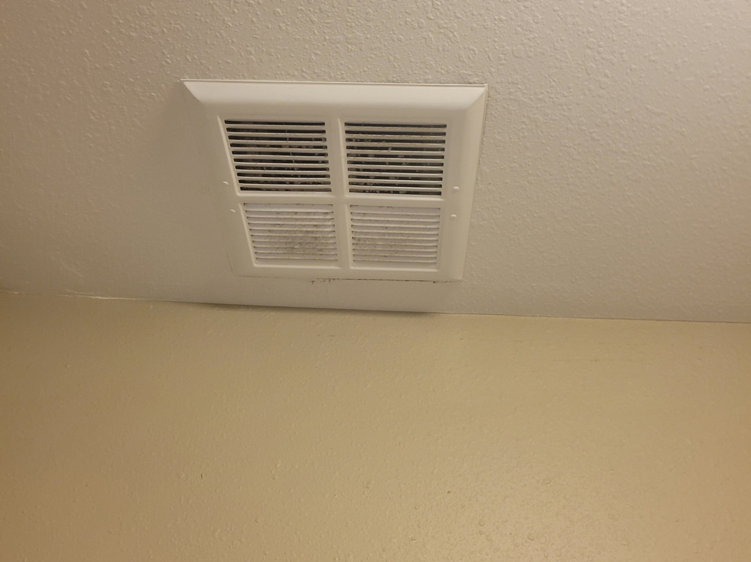 Baymont by Wyndham Minot主图