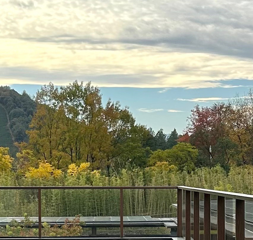 Hotel Indigo Anji by IHG主图