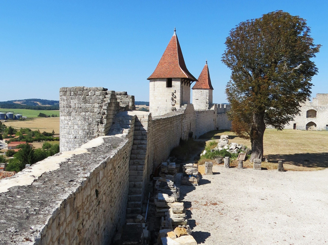 Chateau de Villebois-Lavalette景点图片