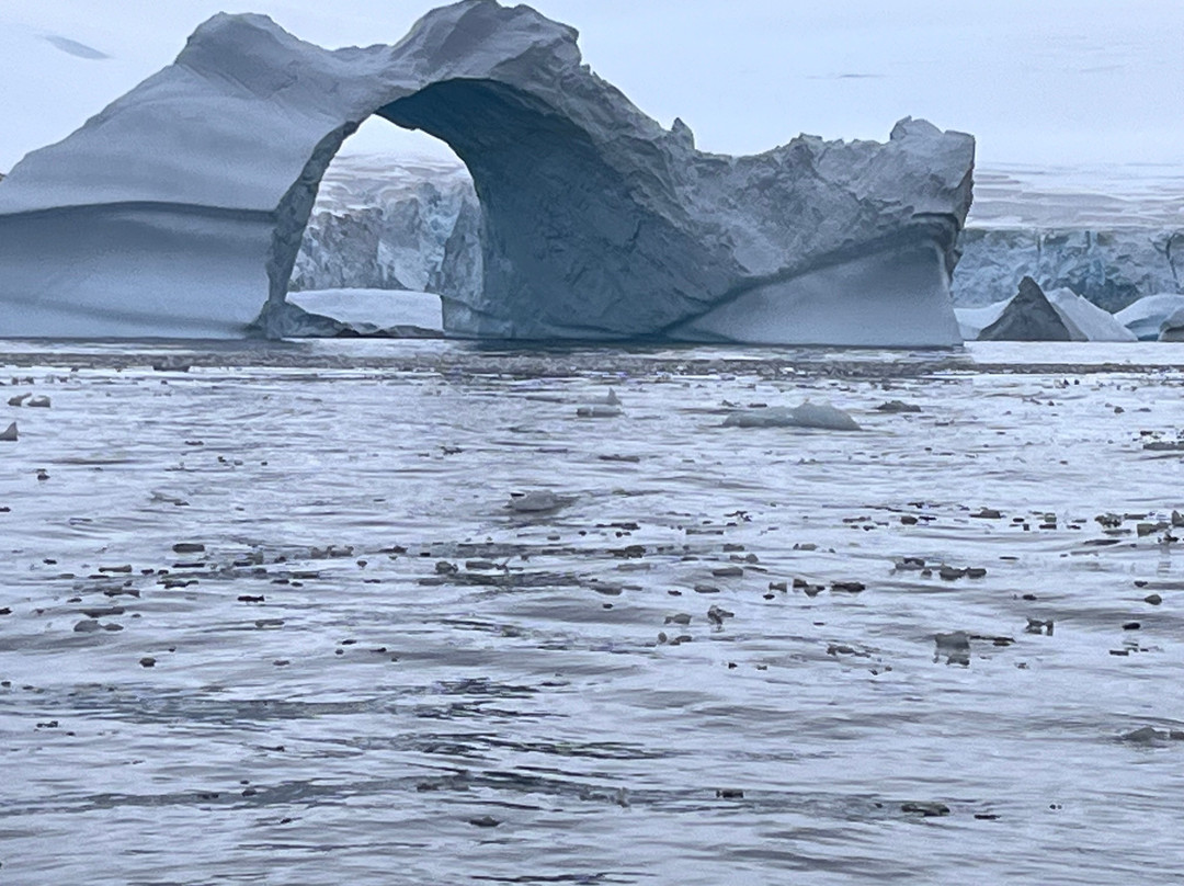 Cierva Cove-Antarctic Peninsula必去景点