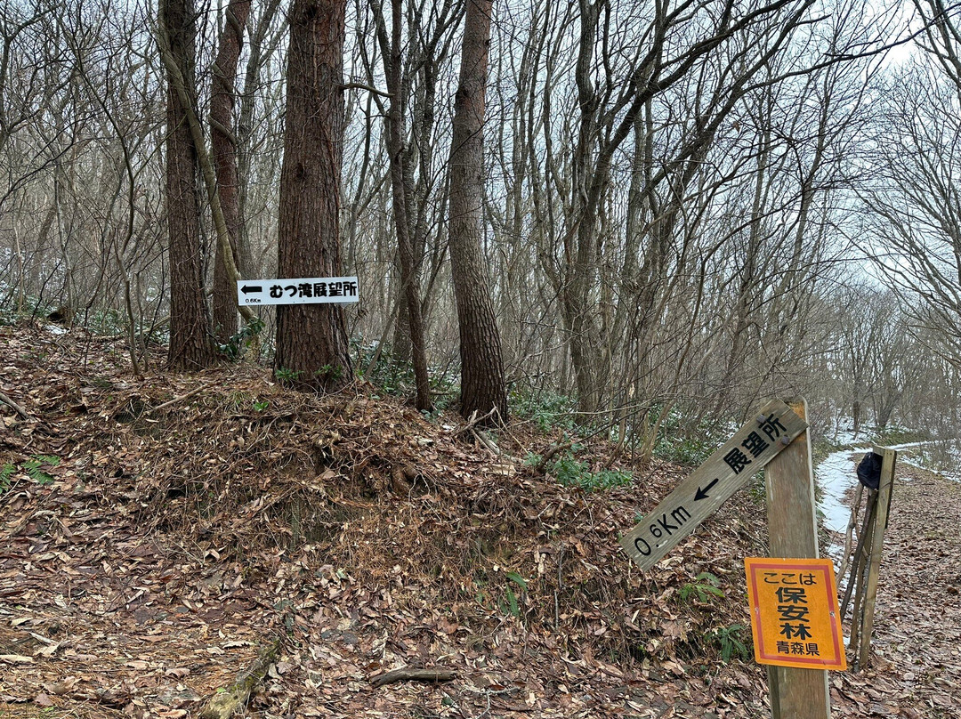 Asamushi Onsen Forest Park景点图片
