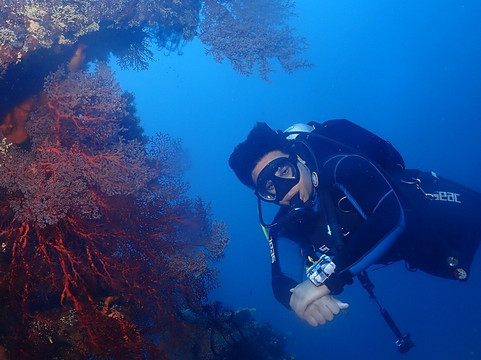 Bali Diving School-沙努尔必去景点
