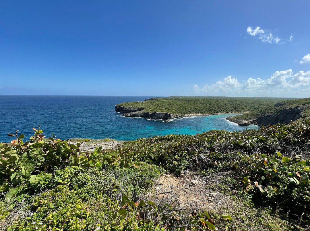 Guadeloupe Explor-Le Moule必去景点