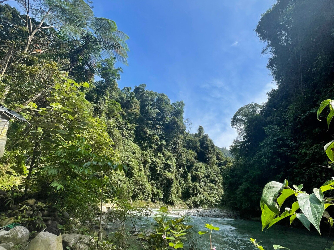 Monkey business tours-武吉拉旺必去景点
