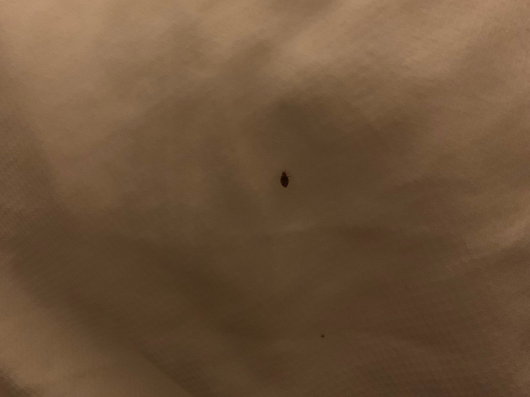 梅因盖特南凯富套房酒店主图