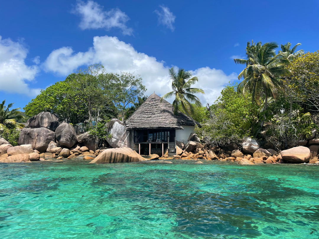 Chauve Souris Relais主图