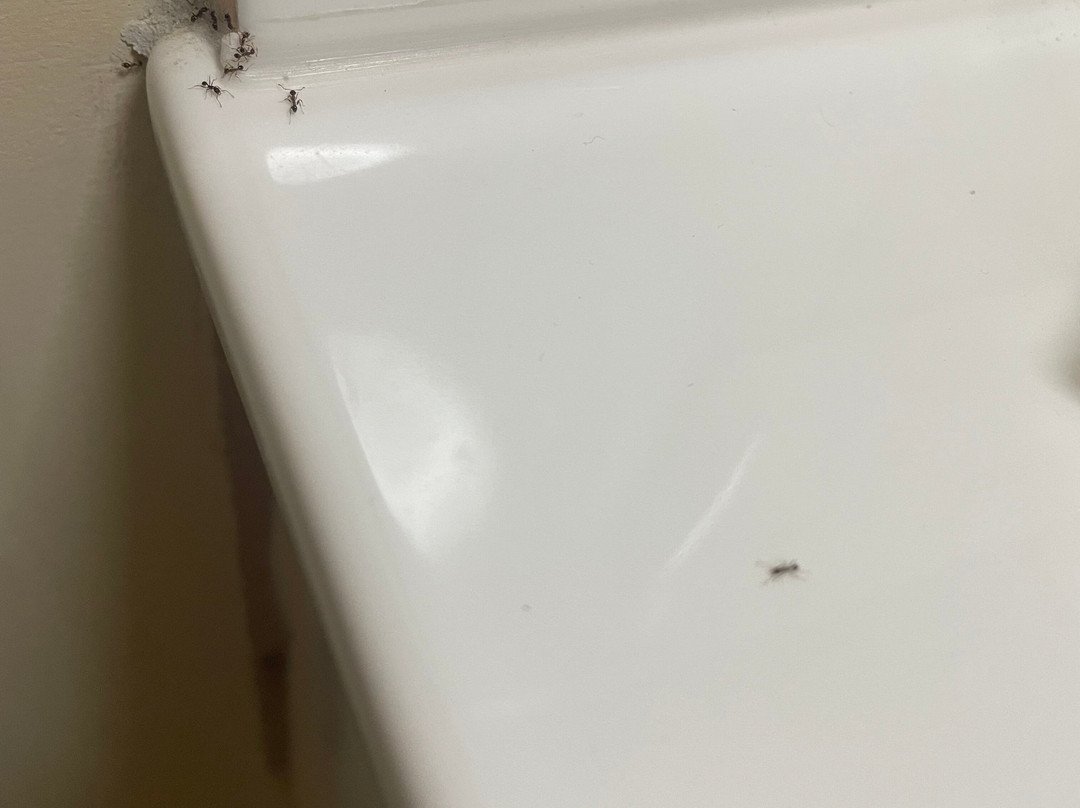 海湾别墅度假村主图