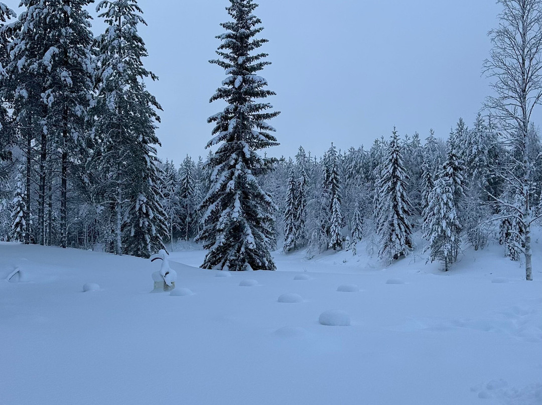 Lapland Salmon Lodge-凯米必去景点