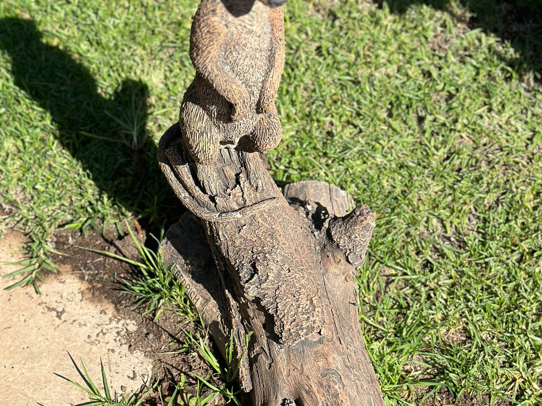 Ipe Tombe Guest Lodge主图