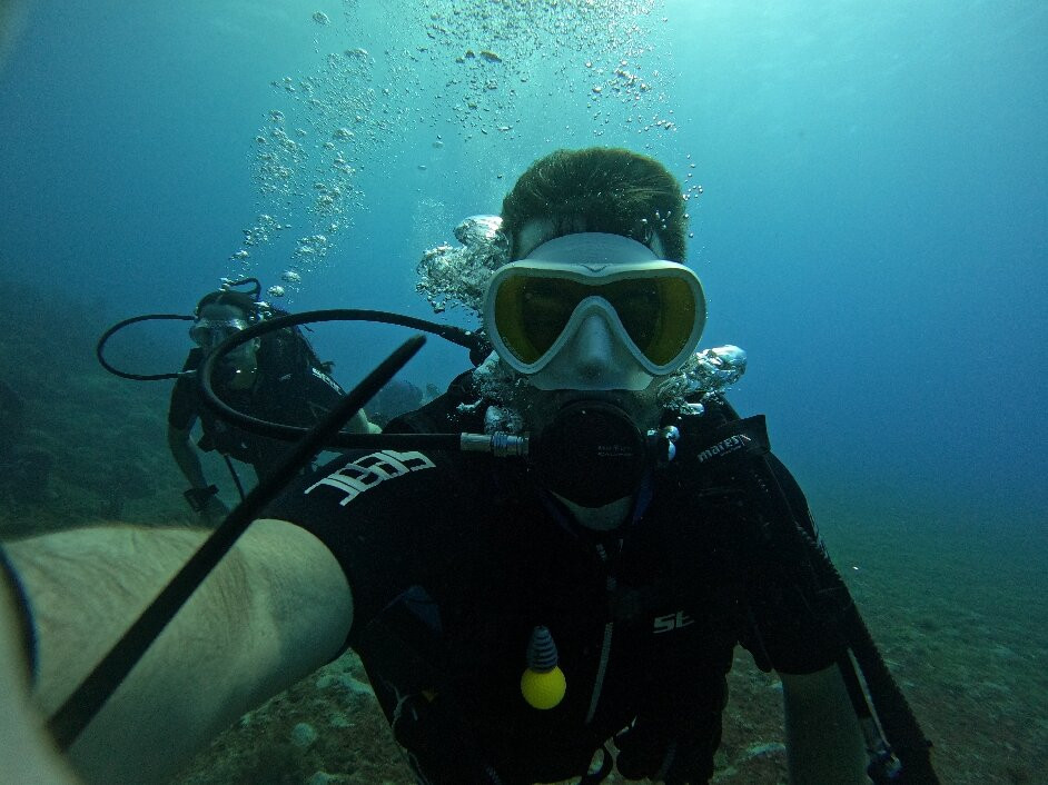 BLT Plongée Martinique-Case-Pilote必去景点