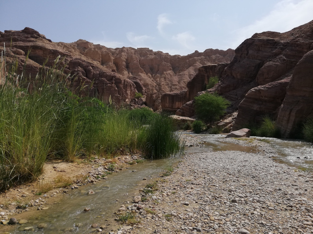 Wadi al Hassa