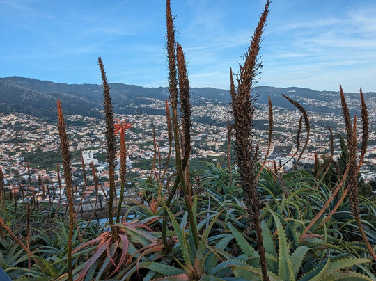 Adventure Trikes-沙尔必去景点