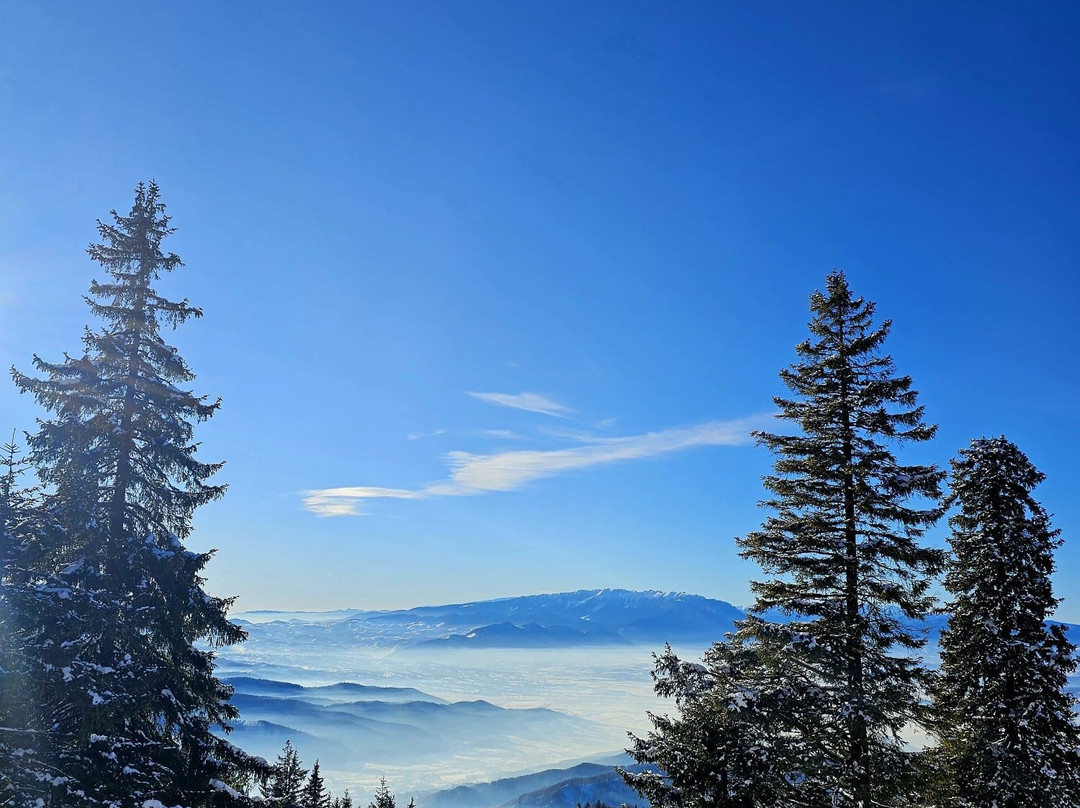 Monte Cervo主图