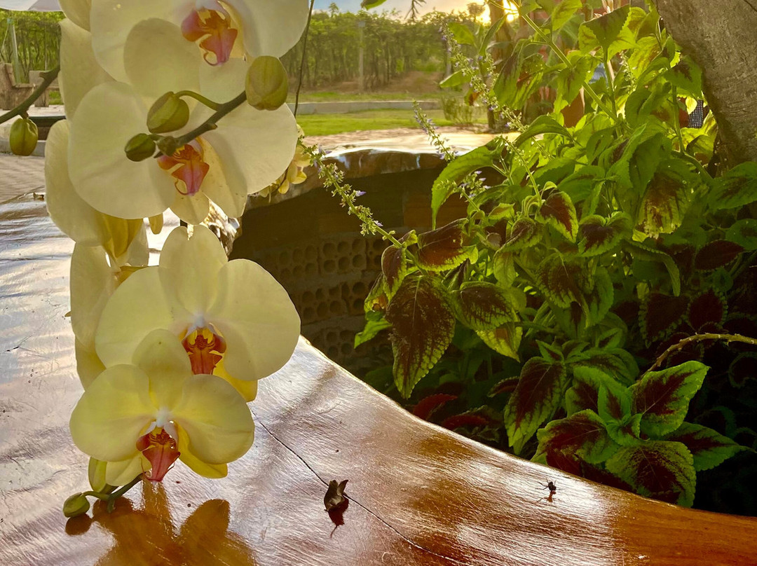 Vinícola Assunção-Pirenopolis必去景点